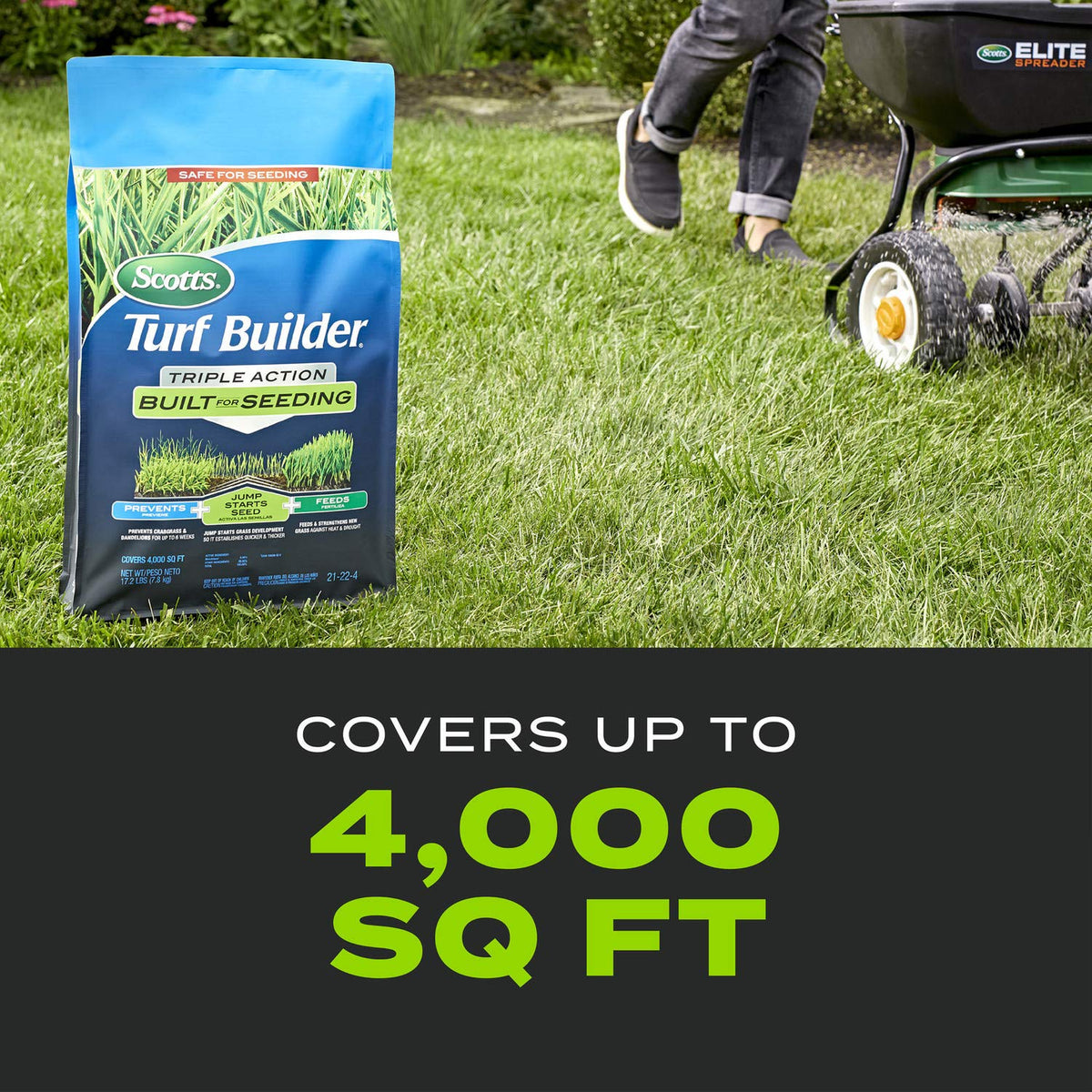 Healthy green lawn after treatment thriving in sunny conditions.