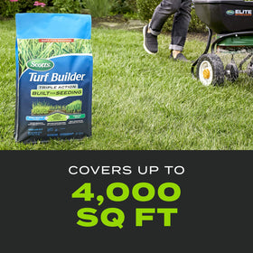 Healthy green lawn after treatment thriving in sunny conditions.
