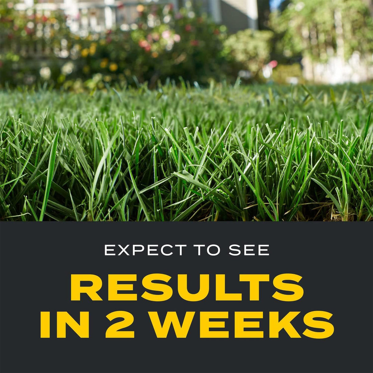 Scotts Turf Builder Triple Action1 prevents crabgrass for months after application.