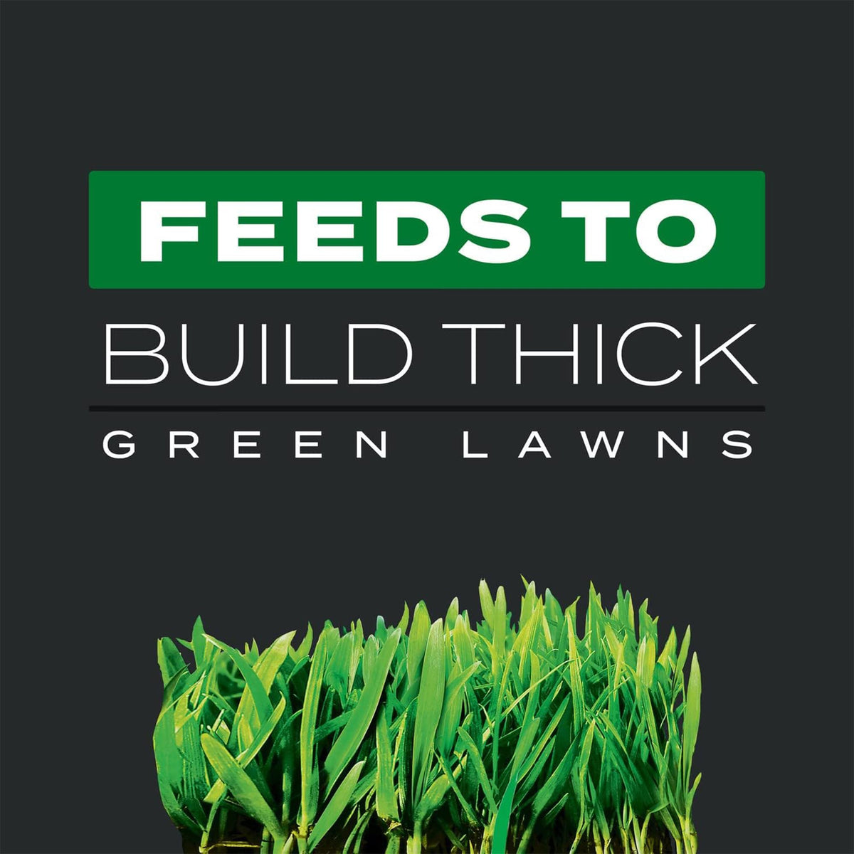 Scotts Turf Builder Triple Action1 application requires wet grass and watering after 24 hours.