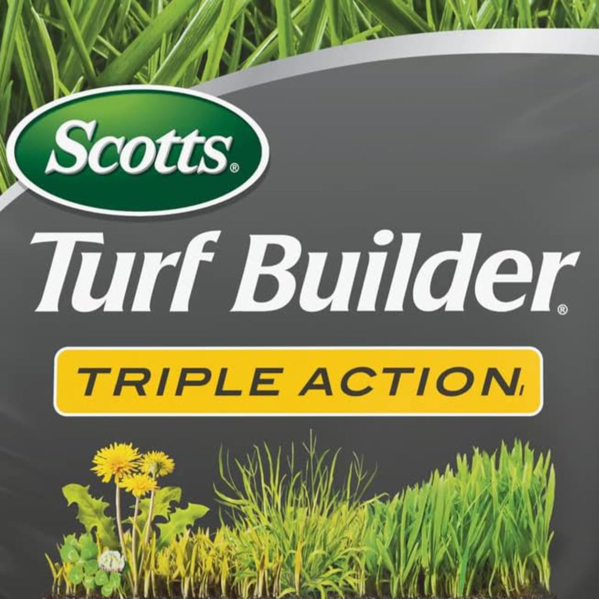 Scotts Turf Builder Triple Action1 targets dandelion and clover while feeding turf.