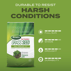 Scotts Turf Builder watering guidance shows daily moisture for three weeks.