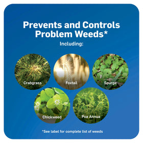 Scotts WeedEx Prevent with Halts fall treatment helps reduce moss and winter weeds