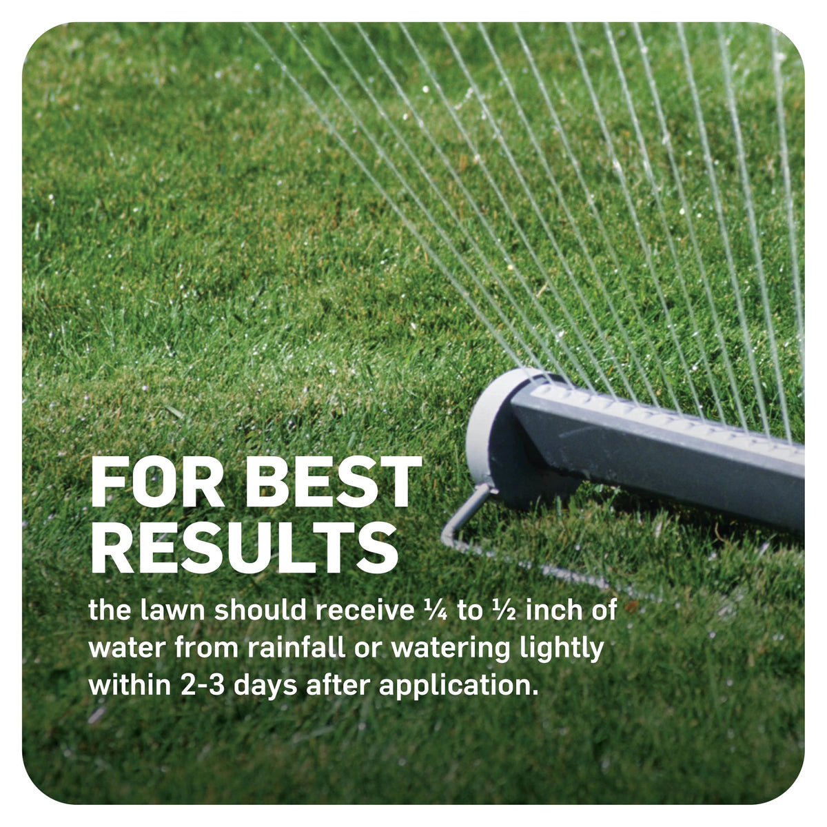 Scotts WeedEx Prevent with Halts helps deter goosegrass and moss