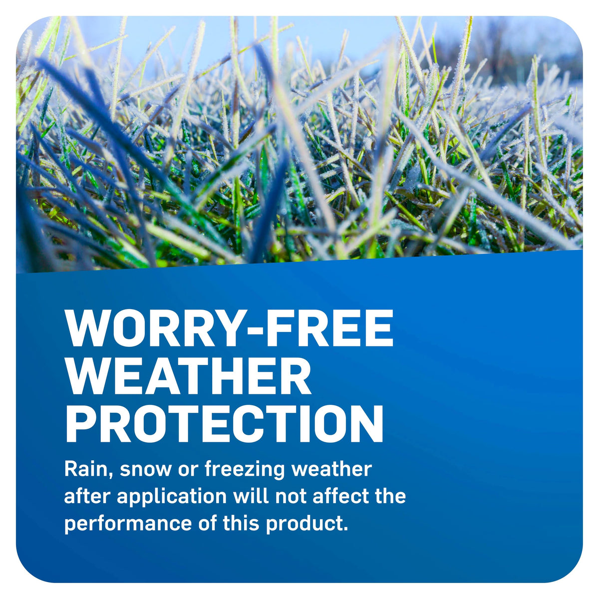 Scotts WeedEx Prevent with Halts reduces Poa annua, henbit, and chickweed in fall