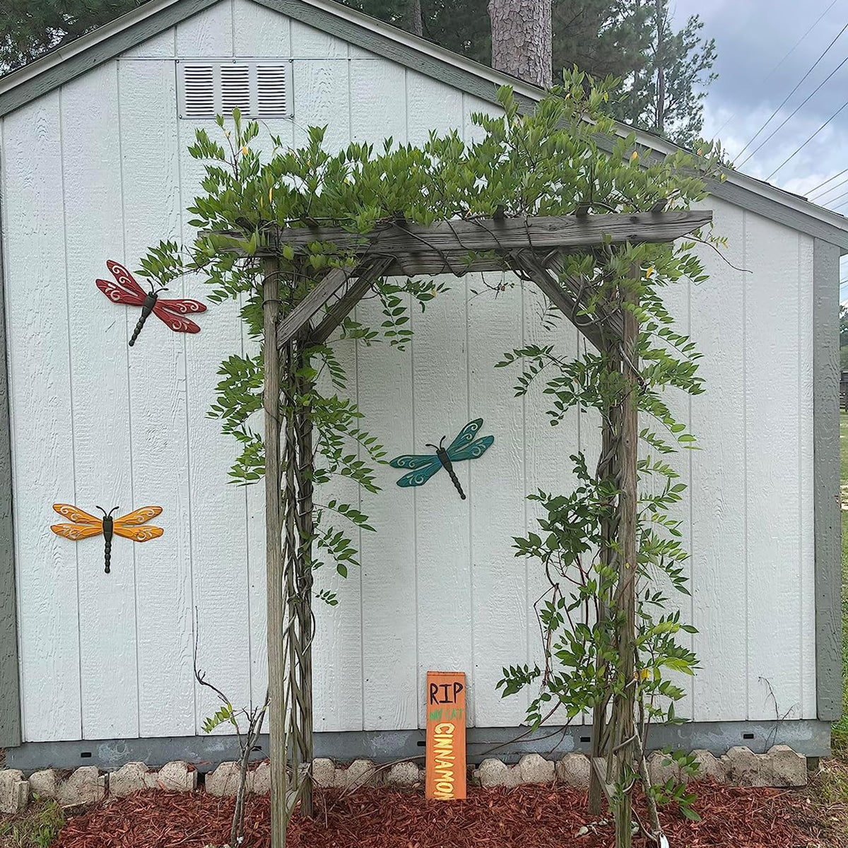 Scwhousi dragonfly wall art designed for garden fences and patios.