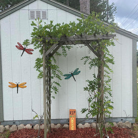 Scwhousi dragonfly wall art designed for garden fences and patios.