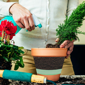 SCyiqifa cut-to-fit design lets you tailor inserts to your pot.