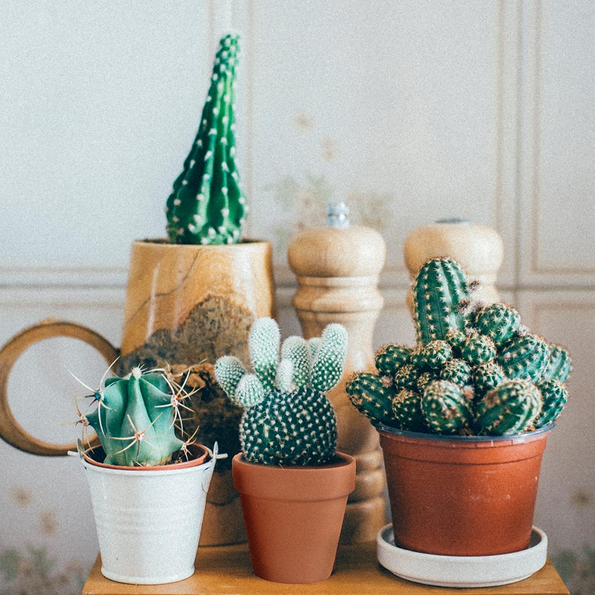 Sderoq pots used for herbs and small plants, lightweight and durable.