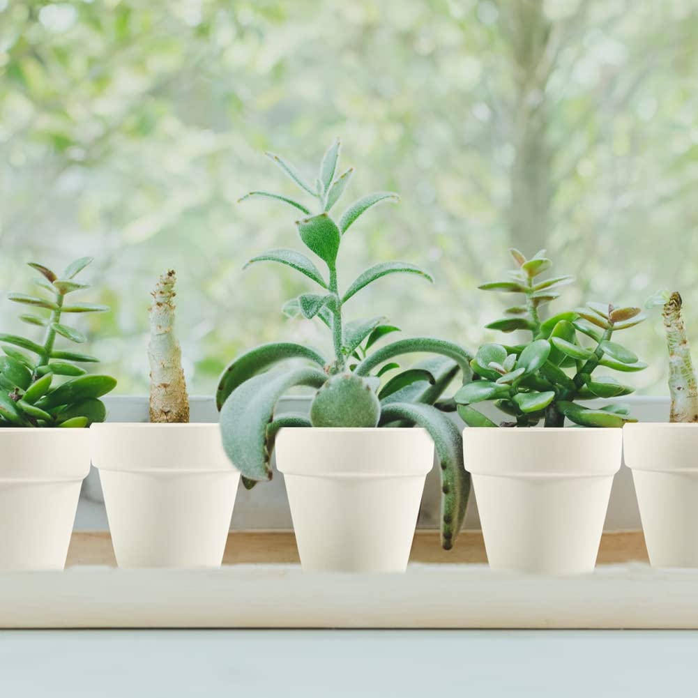Sderoq 3-inch pot shown in a DIY crafts setup.