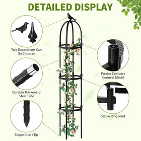 SDLDEER 6-7ft obelisk provides stable support for vines and fruiting plants.