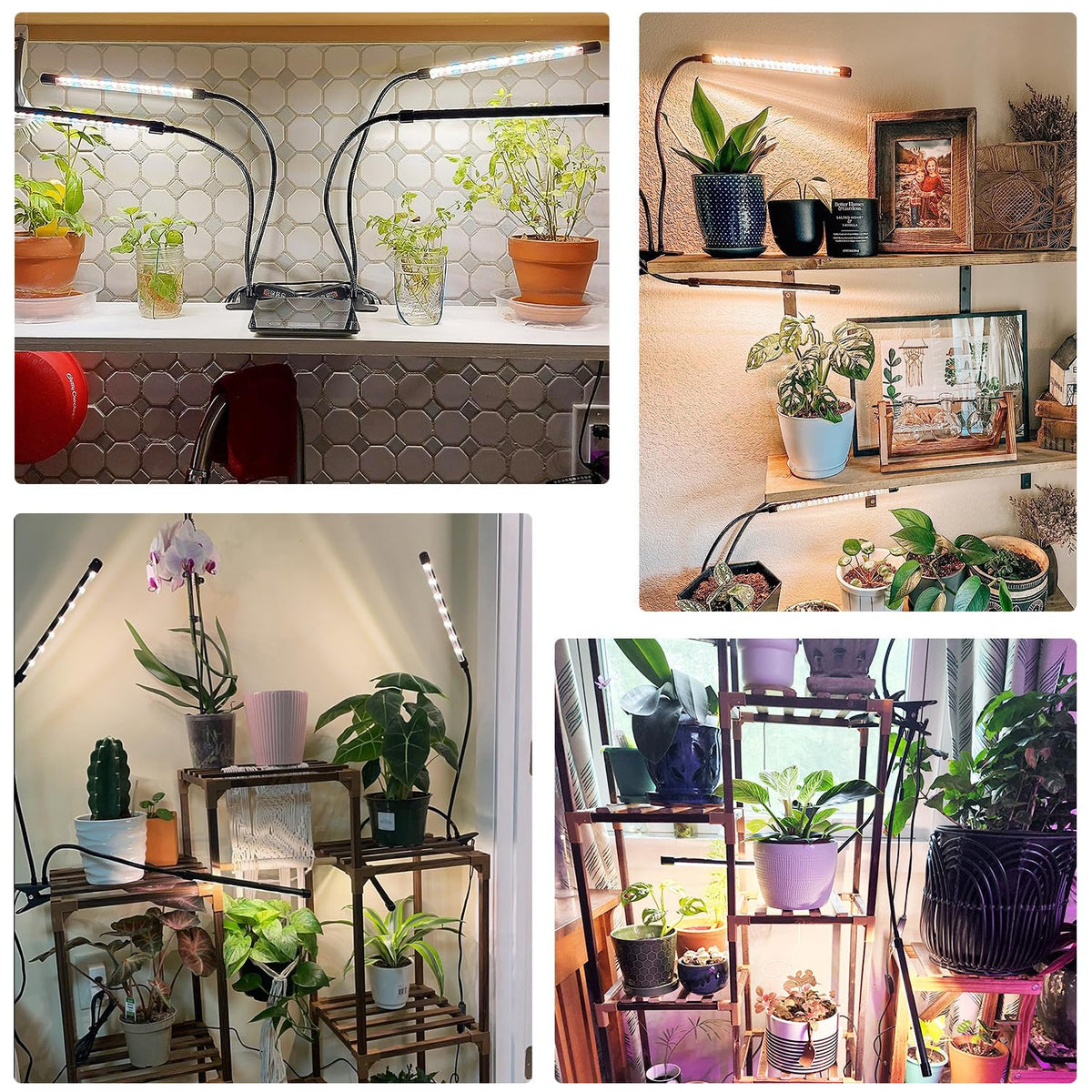 SDOVUERC anti-flicker design minimizes light stress on plants.