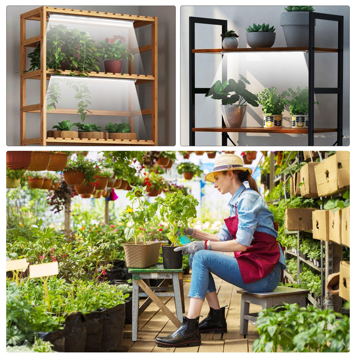 SDOVUERC FCC CE ROHS certified indoor grow light for safe use.
