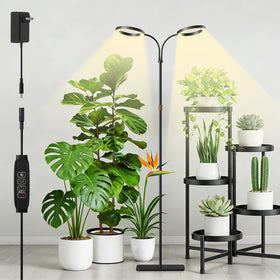 SDOVUERC grow light ring design shown in a living room setup for decor and plant growth