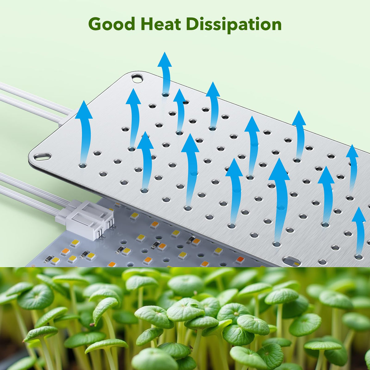 SDOVUERC indoor-plant growth under grow light supports vegetables and herbs.