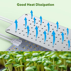 SDOVUERC indoor-plant growth under grow light supports vegetables and herbs.