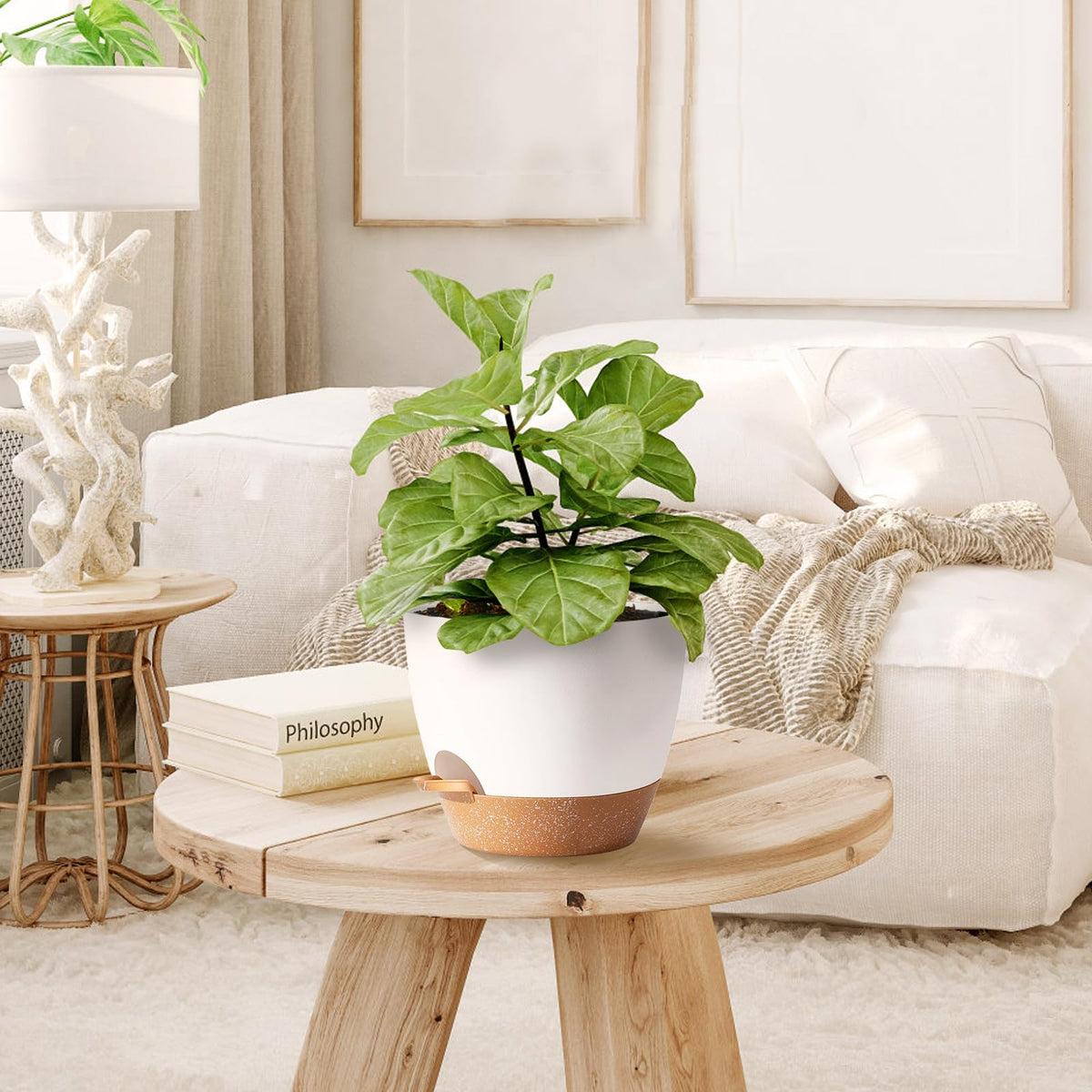 SE SUN-E self-watering pot, 5-inch, lightweight and easy to move