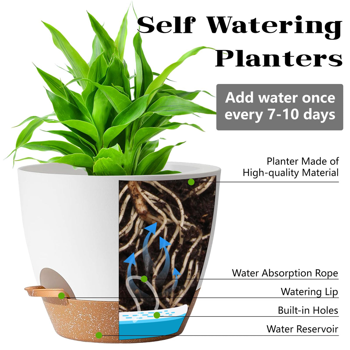 SE SUN-E self-watering pot, 6.5-inch, compact arrangement for small spaces