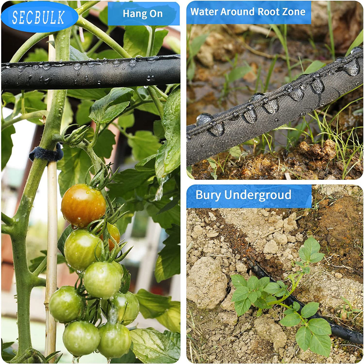 Secbulk expandable links allow wider garden layouts and scalable coverage.