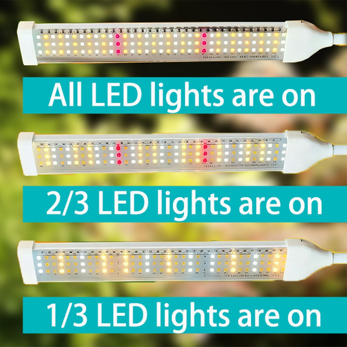 Secefeao dual head light provides broader coverage for dense indoor foliage.