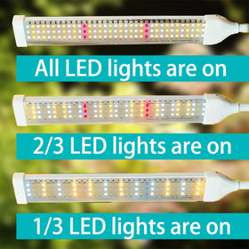 Secefeao dual head light provides broader coverage for dense indoor foliage.