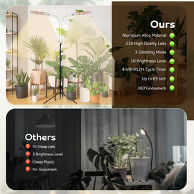 Secefeao full-spectrum LEDs simulate sunlight across growth stages.