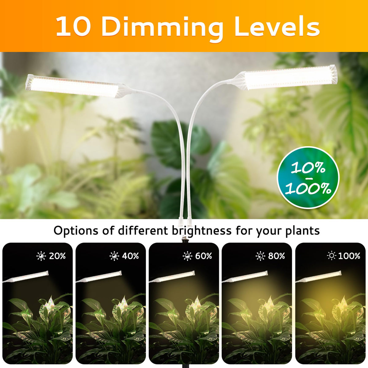 Secefeao 210 LEDs provide broad coverage for indoor gardens.