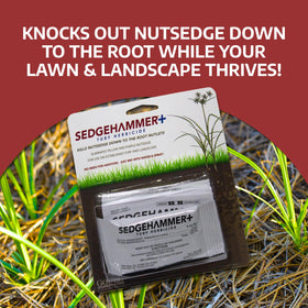 SEDGEHAMMER Plus 13.5g packet designed for easy lawn weed control.