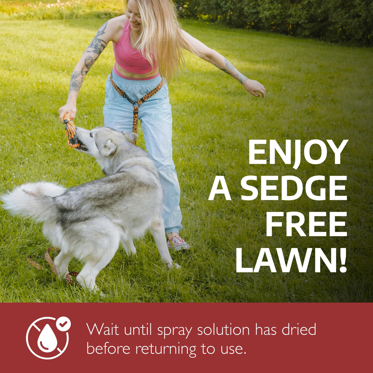 Residential lawn care with Sedgehammer Plus supports pet-safe use after drying.