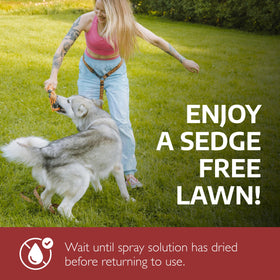 Residential lawn care with Sedgehammer Plus supports pet-safe use after drying.