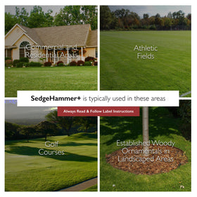 USA-made Sedgehammer Plus bottle highlights premium domestic production for lawns.