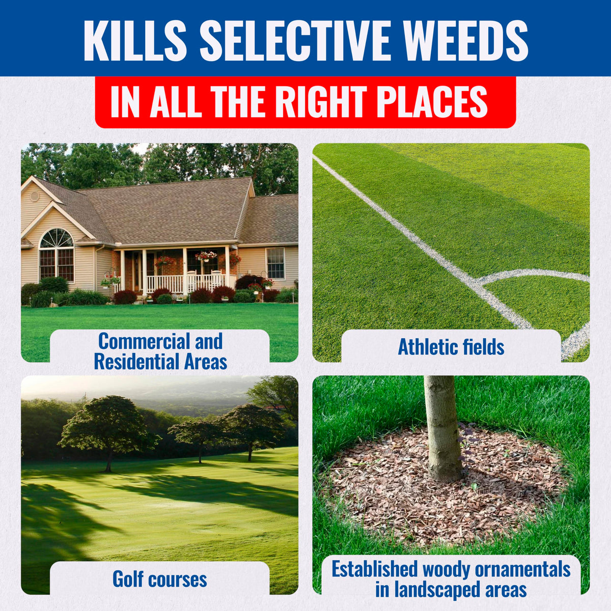 Each packet covers up to 1,000 square feet in lawns.