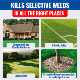 Each packet covers up to 1,000 square feet in lawns.