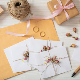 Seed Bloom 50-piece seed paper set for gifts.