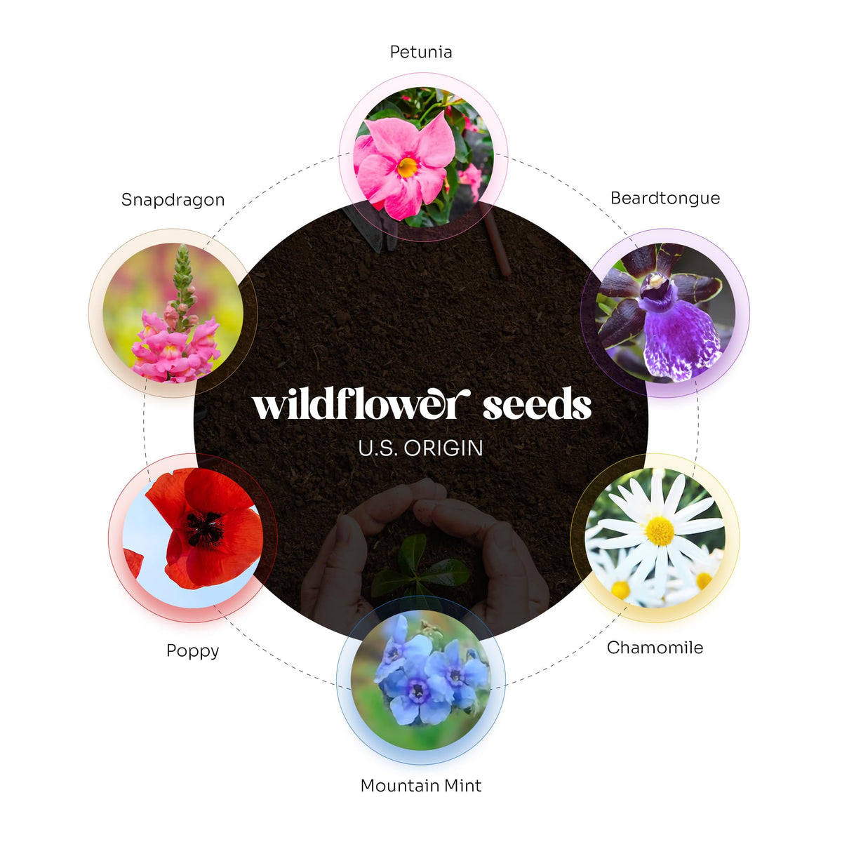 Seed Bloom baby shower heart papers serve as memorable keepsakes that grow