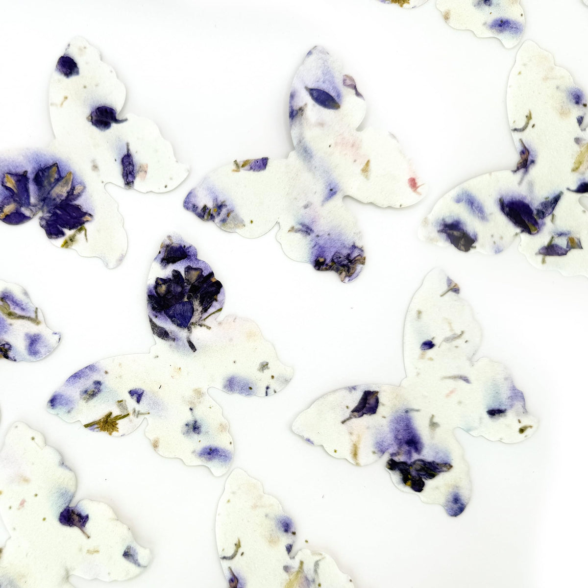 Seed Bloom plantable favors showcase a tangible keepsake that grows into flowers.