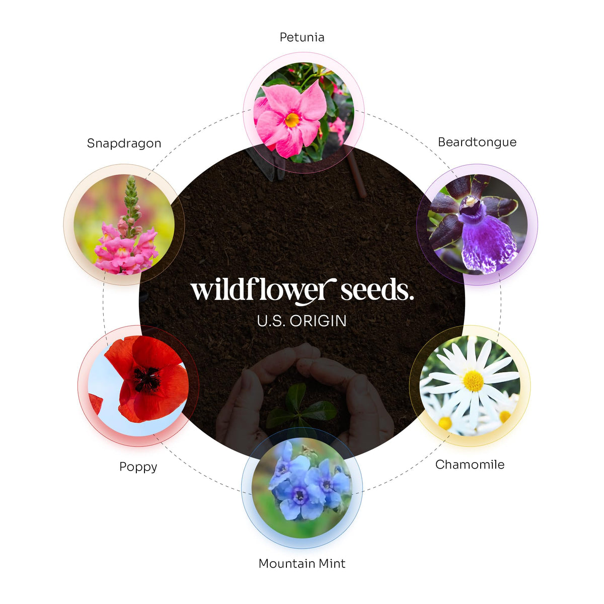 Seed Bloom suitable for Easter, Mother's Day, weddings, and baby showers.