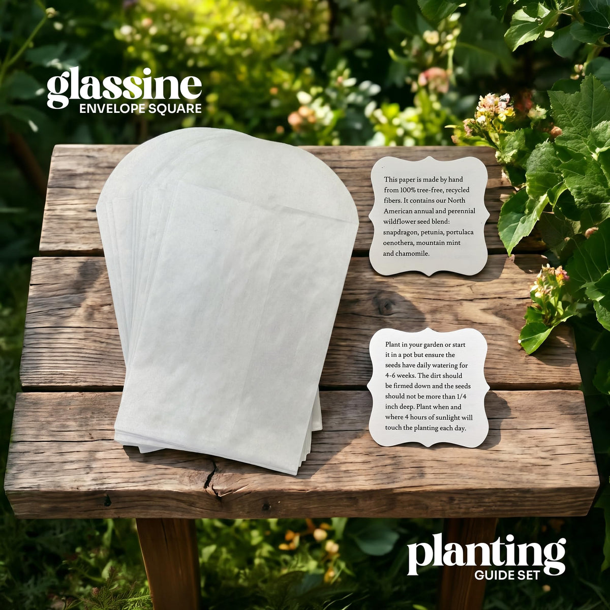 Seed Bloom Easter and Mother's Day favors invite guests to plant.