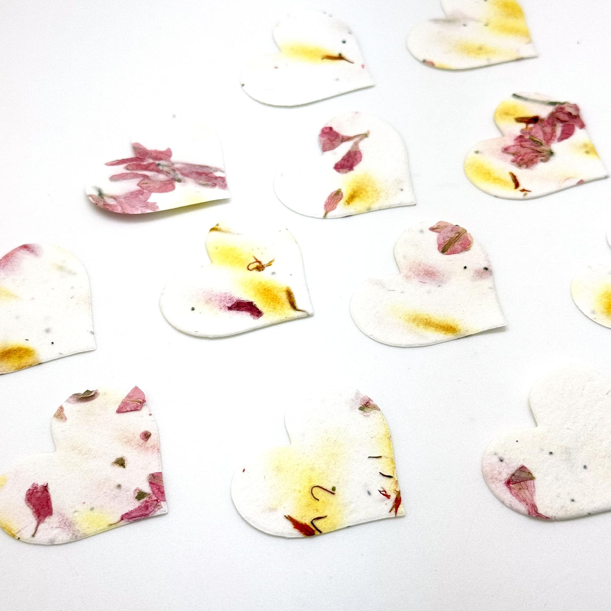 Seed Bloom plantable paper ready to grow in soil.