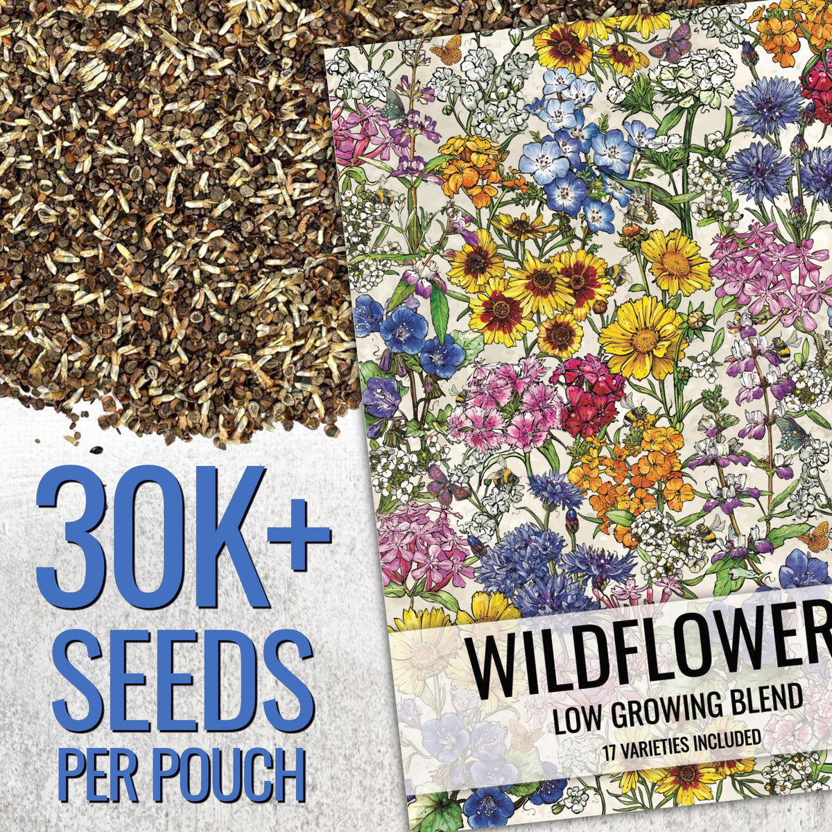 Seed Needs 17-varieties butterfly garden seeds attract nectar-loving pollinators.