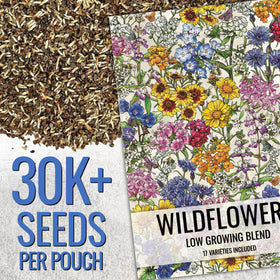 Seed Needs 17-varieties butterfly garden seeds attract nectar-loving pollinators.