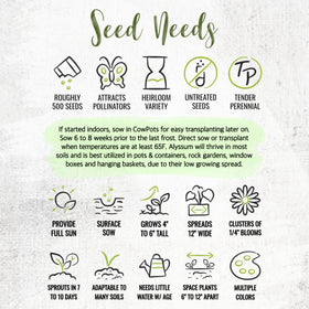 Seed Needs packaging design for heirloom alyssum seed packets
