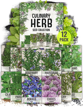 Seed Needs basil seeds pack for a fresh indoor herb garden