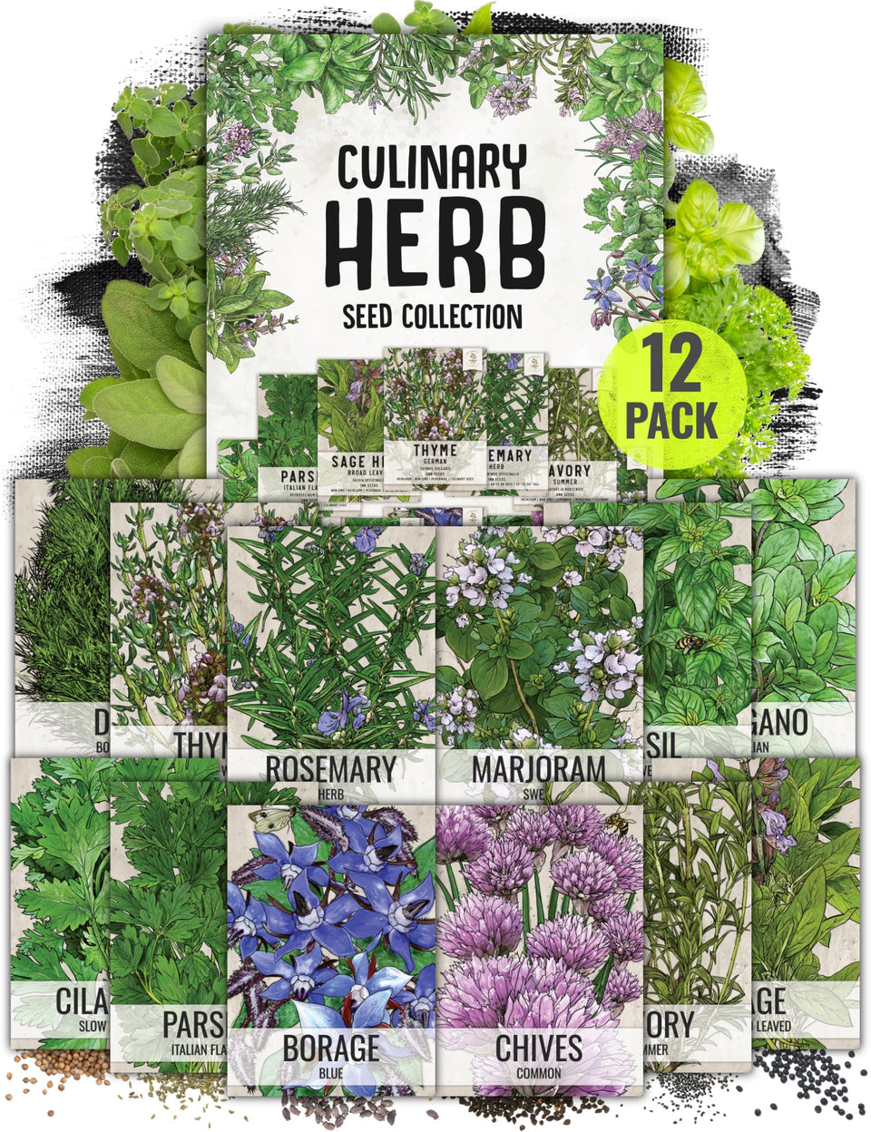 Seed Needs basil seeds pack for a fresh indoor herb garden