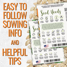 Seed Needs Blue Jarrahdale seeds showcase blue-grey rind and nutty flesh