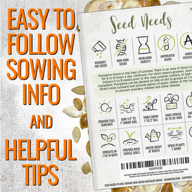 Seed Needs Blue Jarrahdale seed illustration for heirloom pumpkins