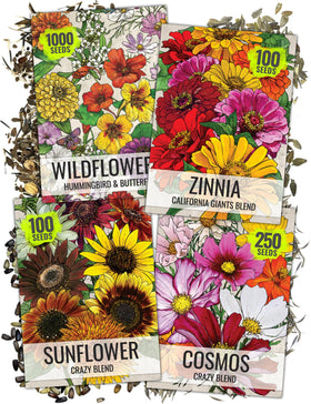 Seed Needs Butterfly Garden collection artwork for pollinator-friendly borders.