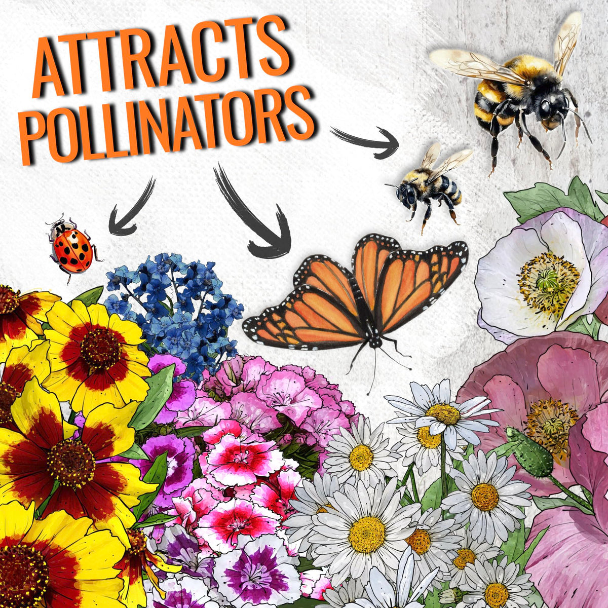 Seed Needs butterfly garden mix attracts pollinators like butterflies and bees.
