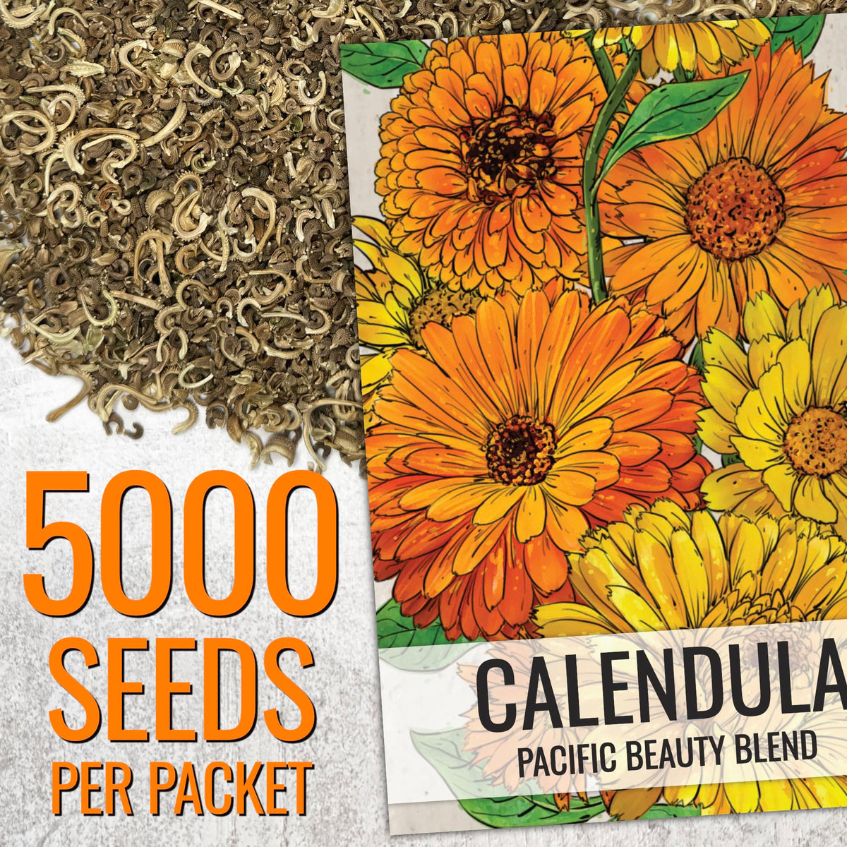 Seed Needs Calendula Pacific Beauty Mix edible petals for salads and teas
