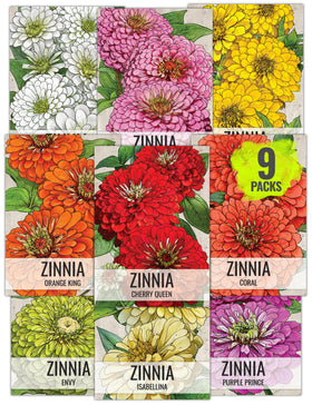 Seed Needs California Giants zinnia collection in the garden for pollinator beds